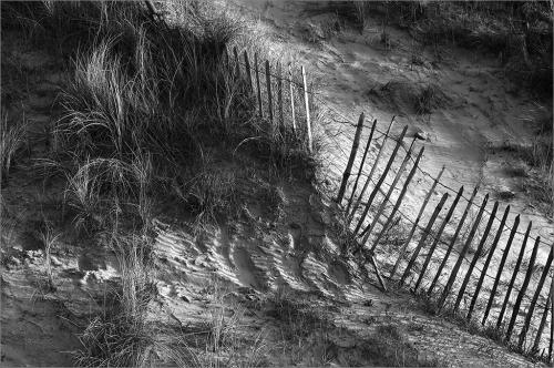 10 Fence in the Dunes